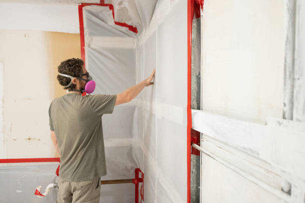 Best Mold Damage Restoration  in Frederickson, WA