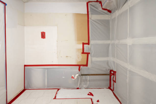 Best Mold Remediation for Healthcare Facilities  in Frederickson, WA